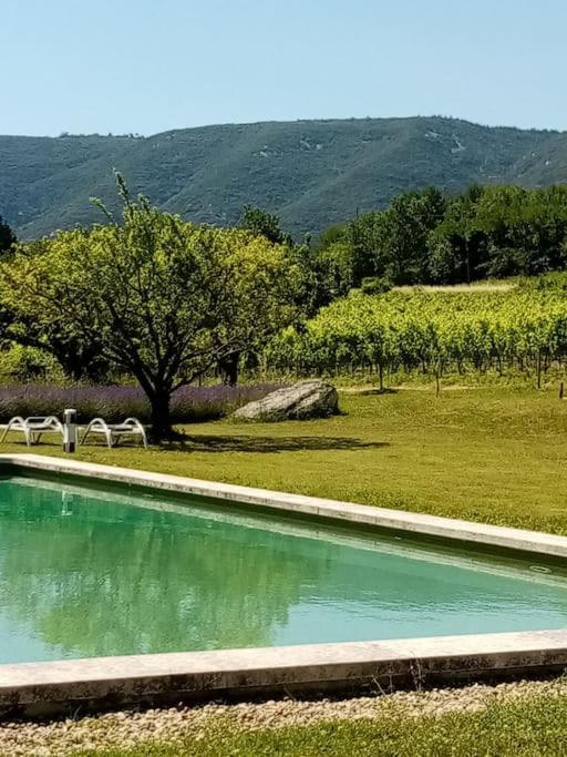 Le Lavoir لاكوست المظهر الخارجي الصورة